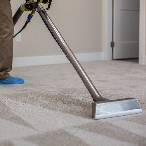 the best carpet cleaning Boise, ID