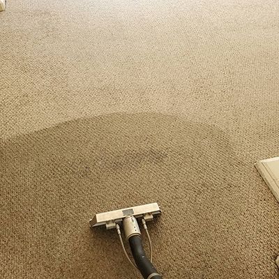 commercial carpet cleaning in eagle id results 3