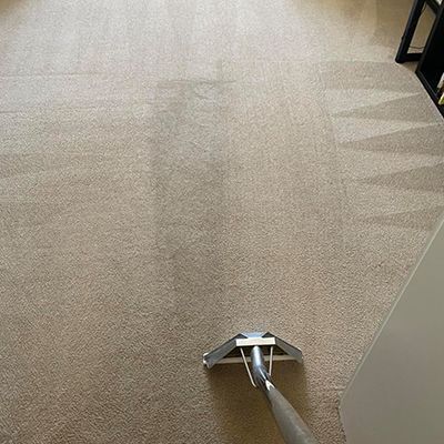 commercial carpet cleaning in fischer id results 4