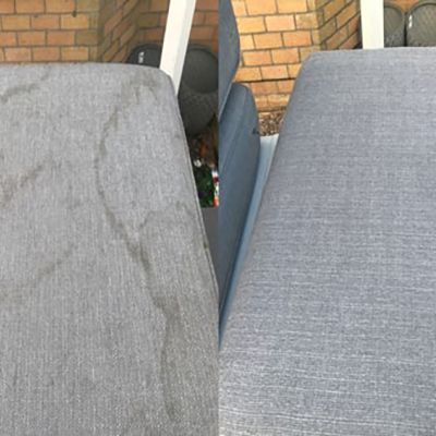 upholstery cleaning moss id results 6