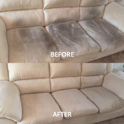 upholstery cleaning moss id results 2